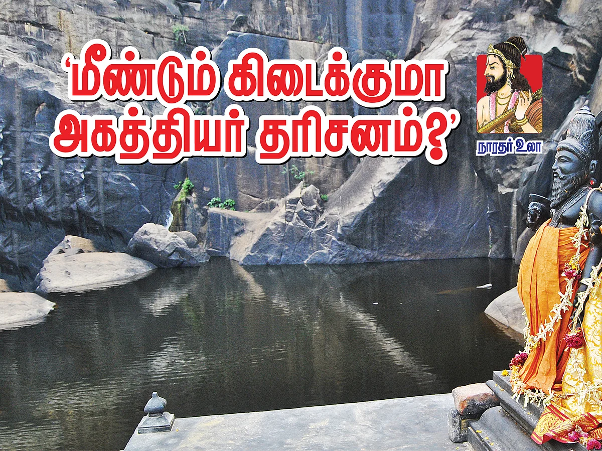 நாரதர் உலா