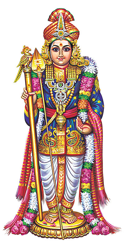 பழநி முருகன்