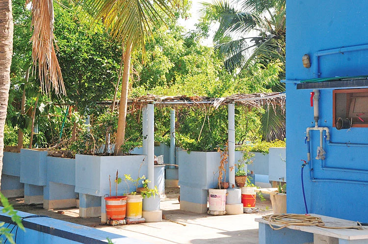 மழைநீர் சேகரிப்பு