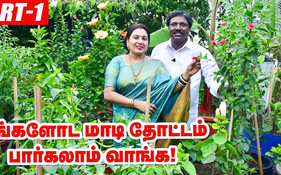 `எங்களோட மாடித்தோட்டம் பார்க்கலாம் வாங்க!' - அனிதா குப்புசாமி | Anitha Kuppusamy Terrace Garden