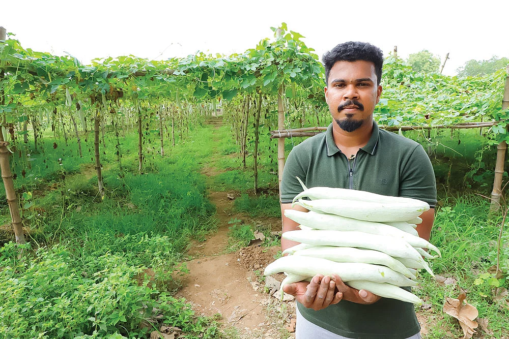 மூங்கில் கால்களுடன் கூடிய தோட்டம்