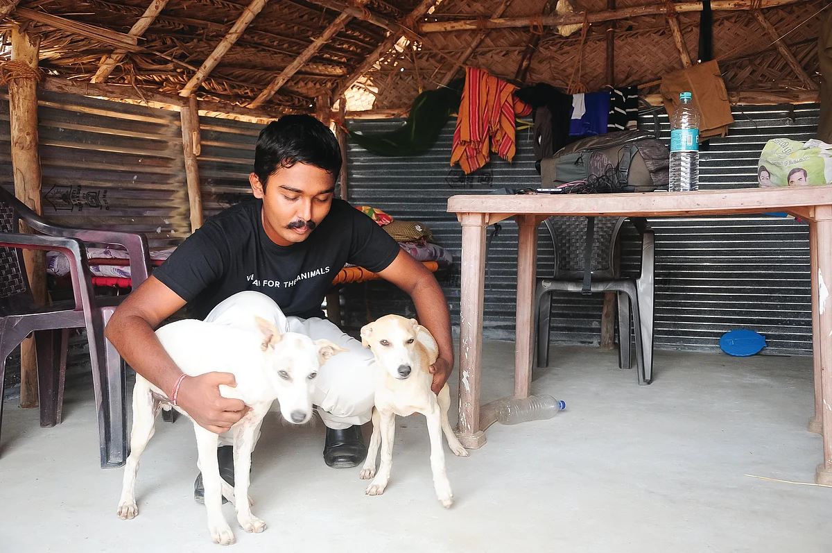 நாய்களுடன்
