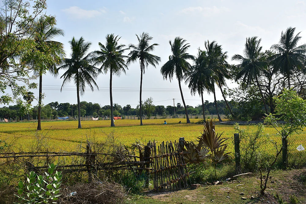 விவசாய நிலம்
