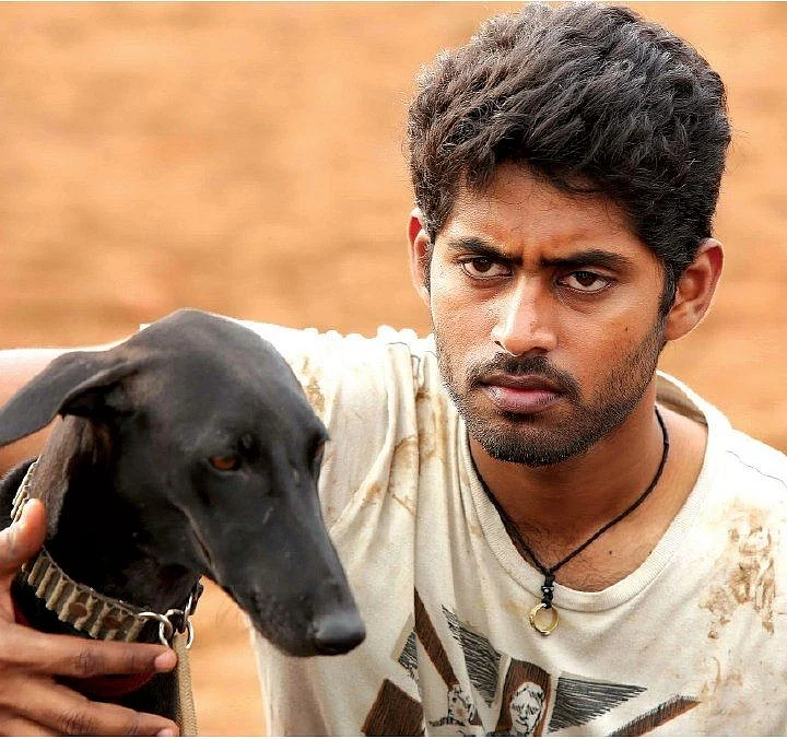 பரியேறும் பெருமாள்