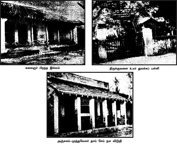 எங்கள் ஊர் திருக்குவளை!