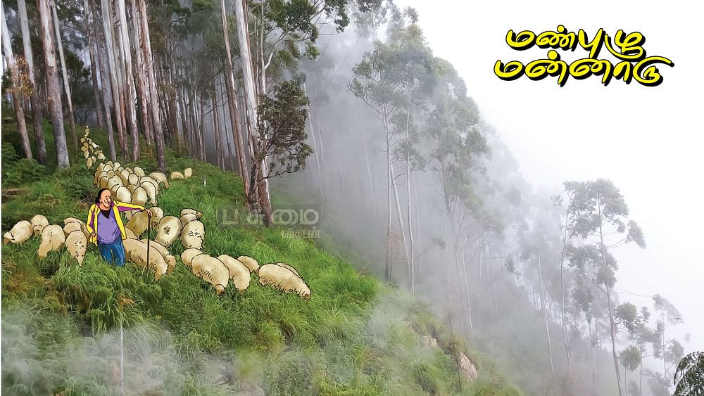 மண்புழு மன்னாரு