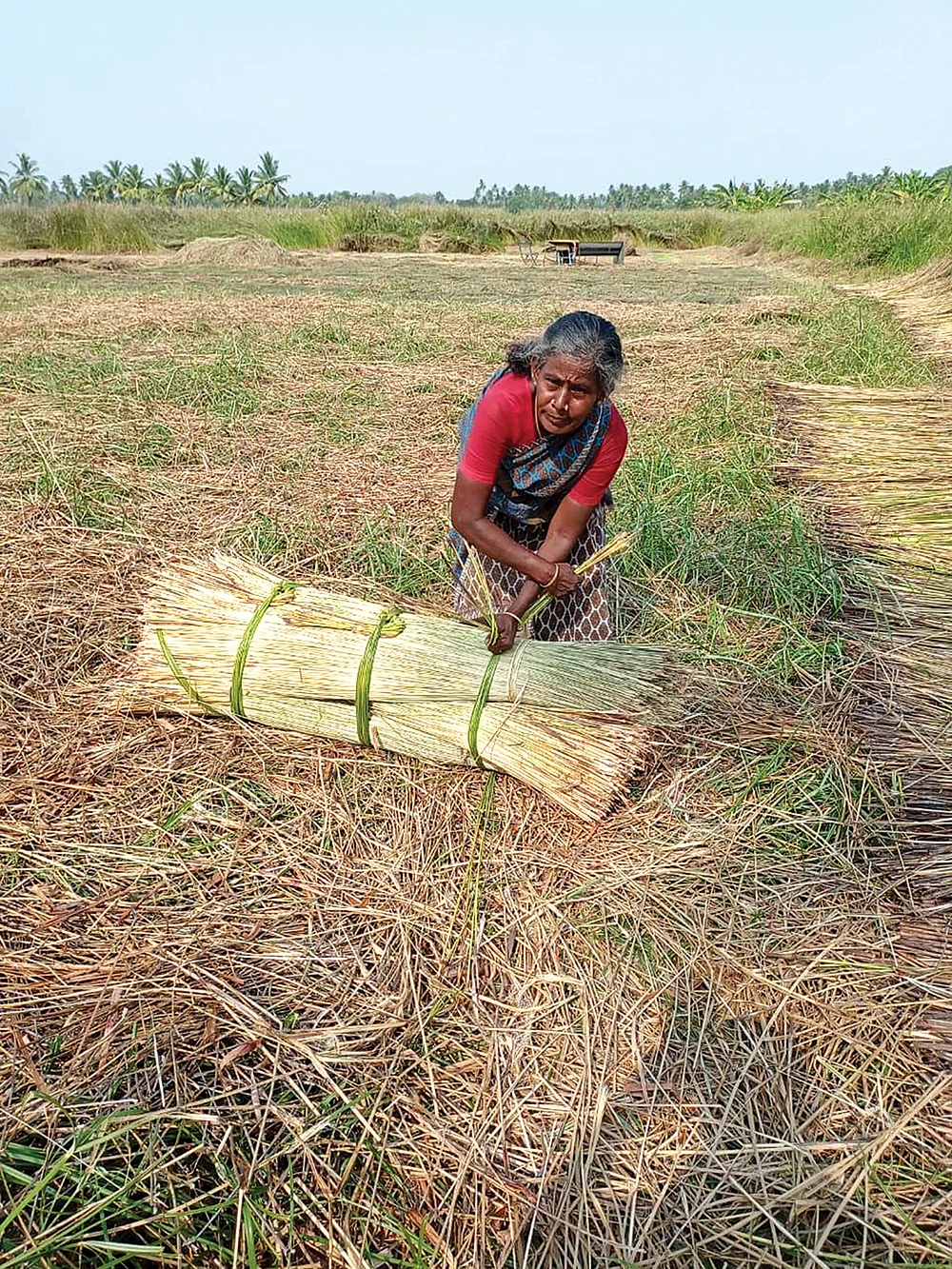 2K kids: கோரை அறுக்குறவ புள்ளைங்க பட்டதாரி! - `தம்ஸ் அப்' செல்வராணி