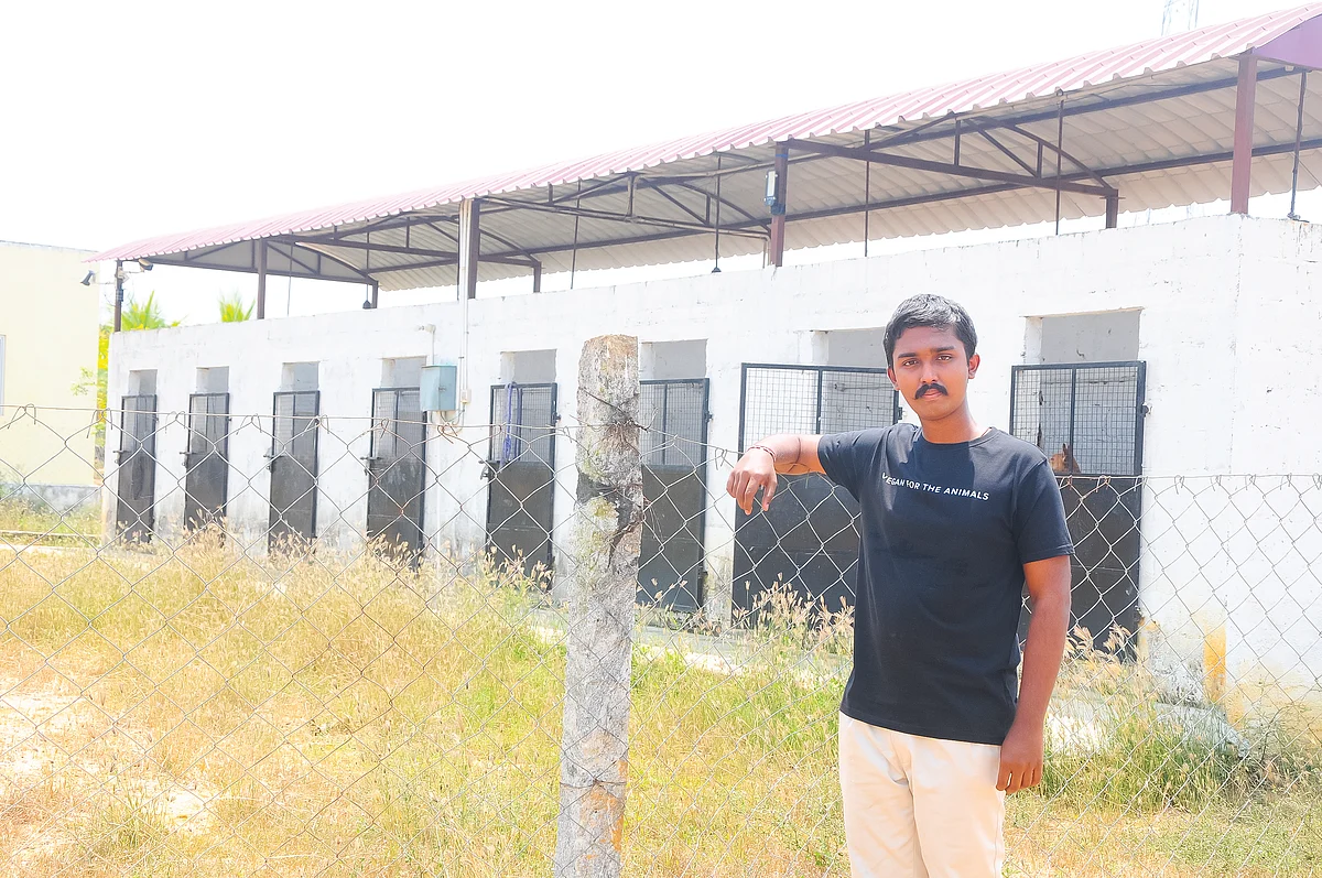 பிராணிகளைப் பராமரிக்கும் அறைகள்