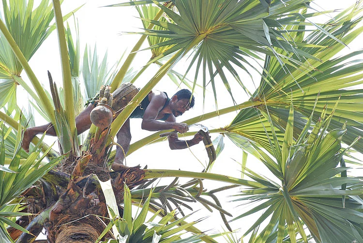 பாளை சீவும் பணி