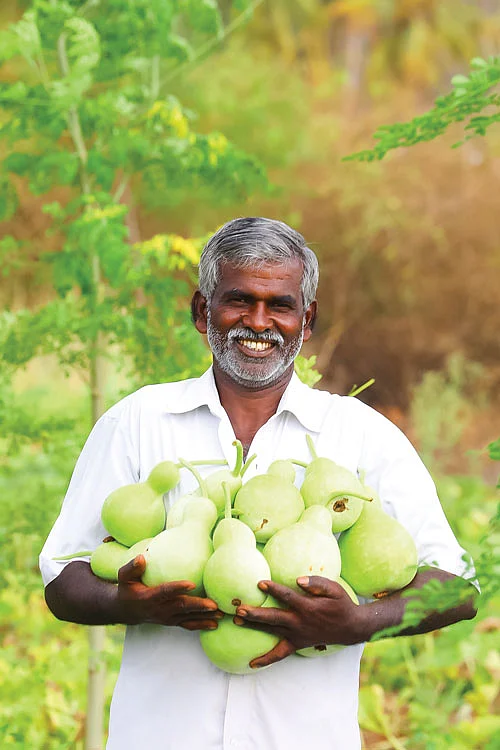சுரைக்காயுடன்