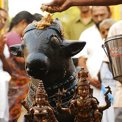 நந்தி - பிரதோஷம்