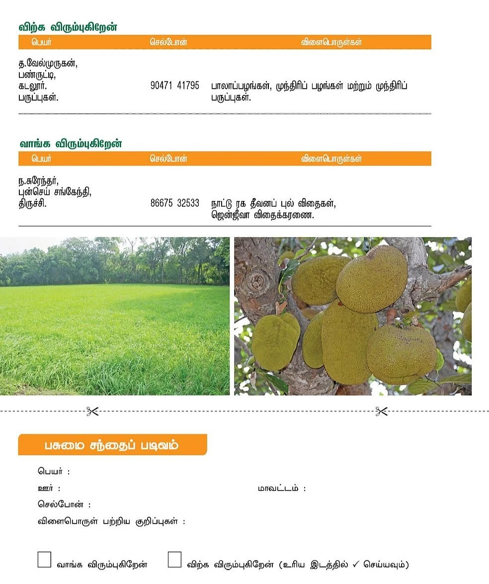 பசுமை சந்தை