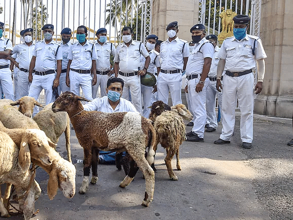 மேற்கு வங்கம்: ஆளுநர் மாளிகை வாசலில்  ஆடுகளுடன் போராட்டம்; கொதித்த ஆளுநர்!