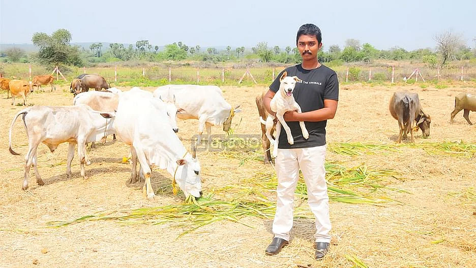 சாய்விக்னேஷ்