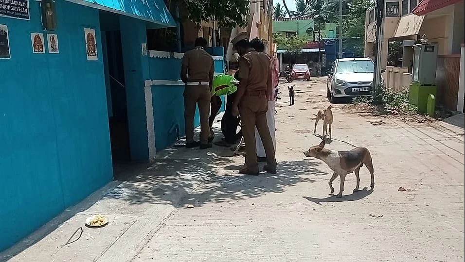 நாய்களுக்கு உணவு வைக்கும் பணியில்