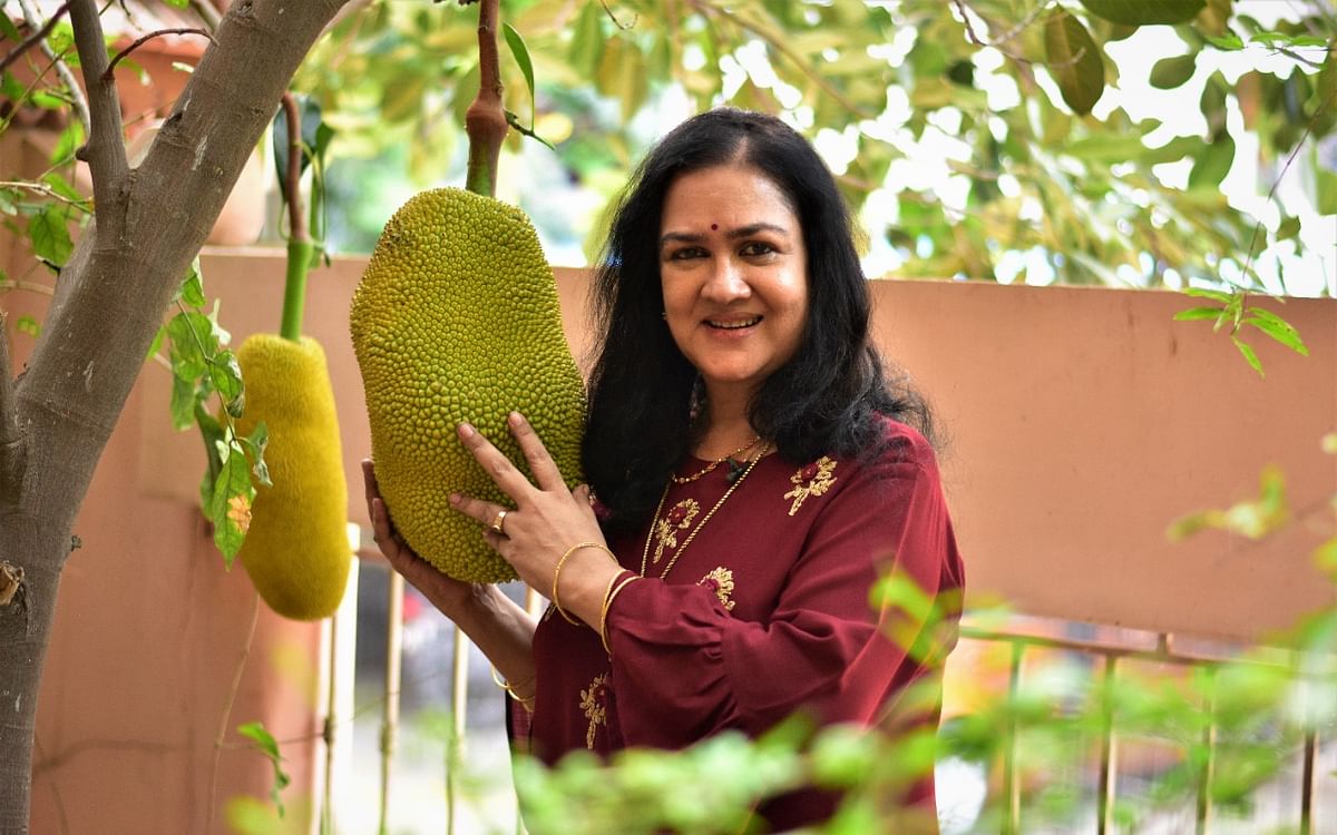 நடிகை ஊர்வசியின் அசத்தல் வீட்டுத்தோட்டம்!| Actress Urvashi Home garden