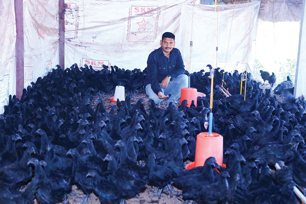 பண்ணையில் கருங்கோழிகளுடன் வினோத்