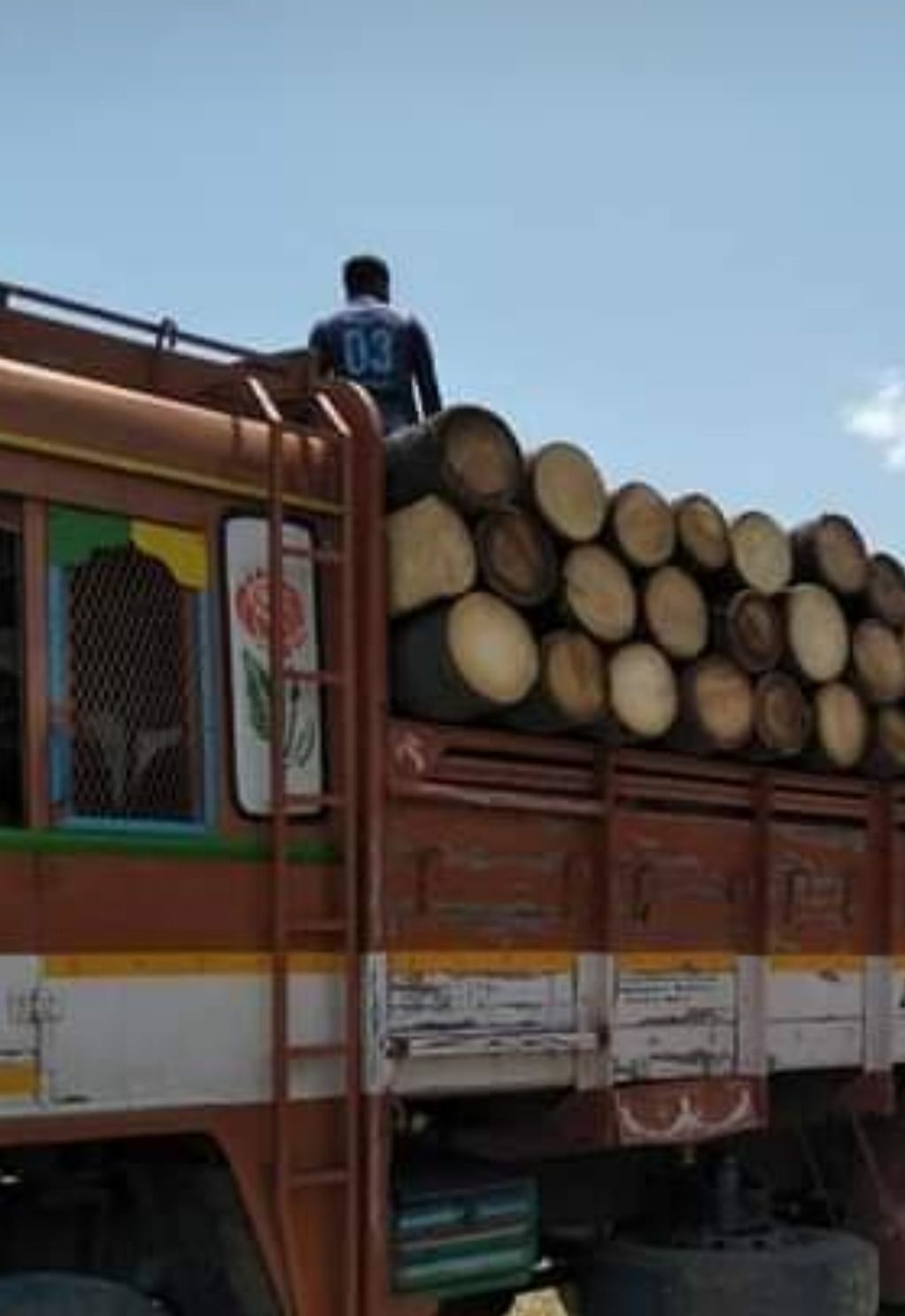 மரம் கடத்தல்
