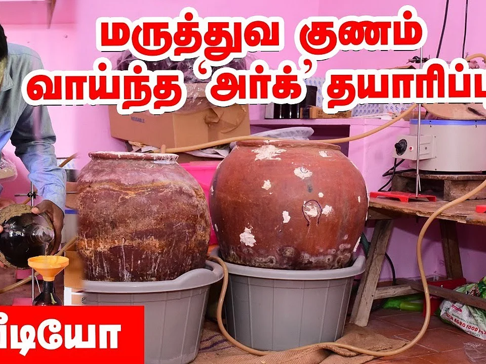 மாட்டுச் சிறுநீரில் மதிப்புக்கூட்டல் - அர்க் விற்பனையில் அசத்தல் வருமானம்!