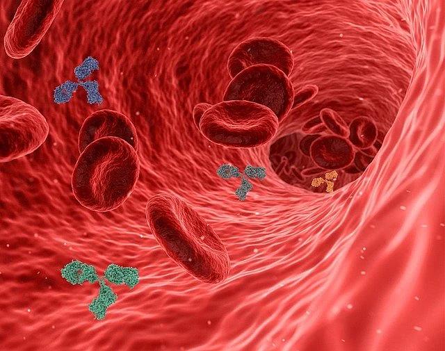 Antibody -Representational Image