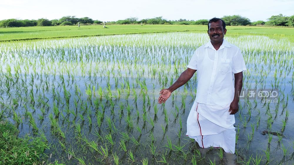 வயலில் முருகேசன்