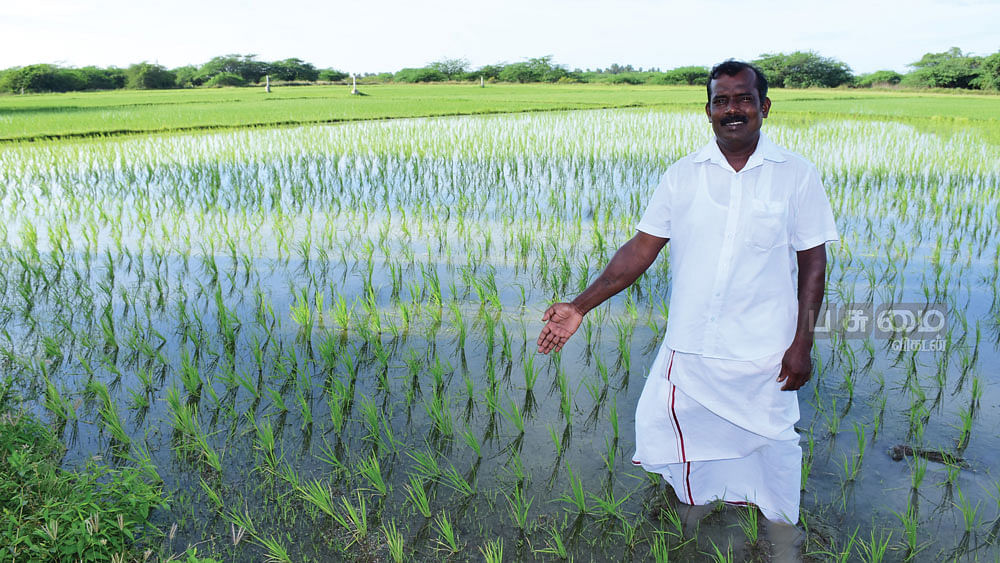 வயலில் முருகேசன்