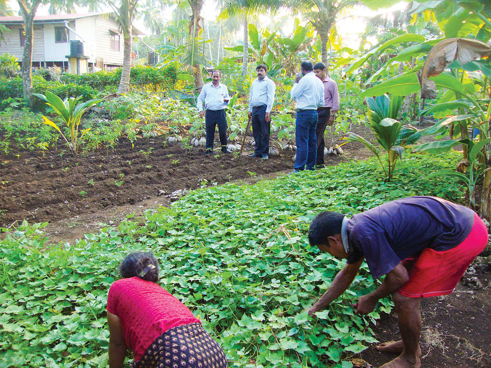 பாரம்பர்ய இயற்கை விவசாய முறைகள்