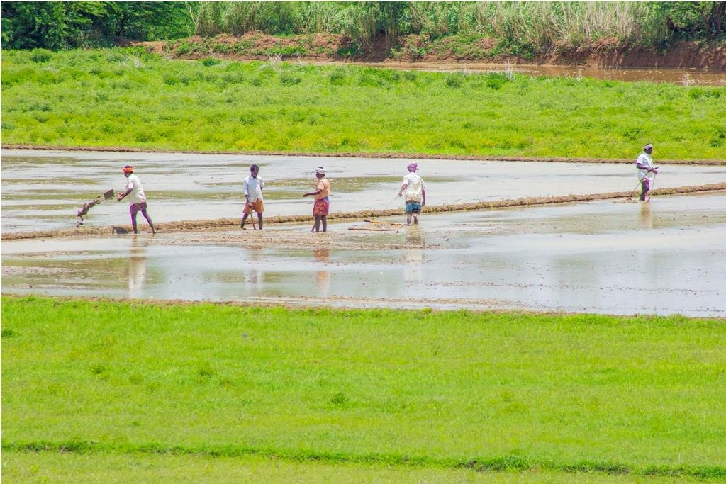 காவிரி டெல்டா