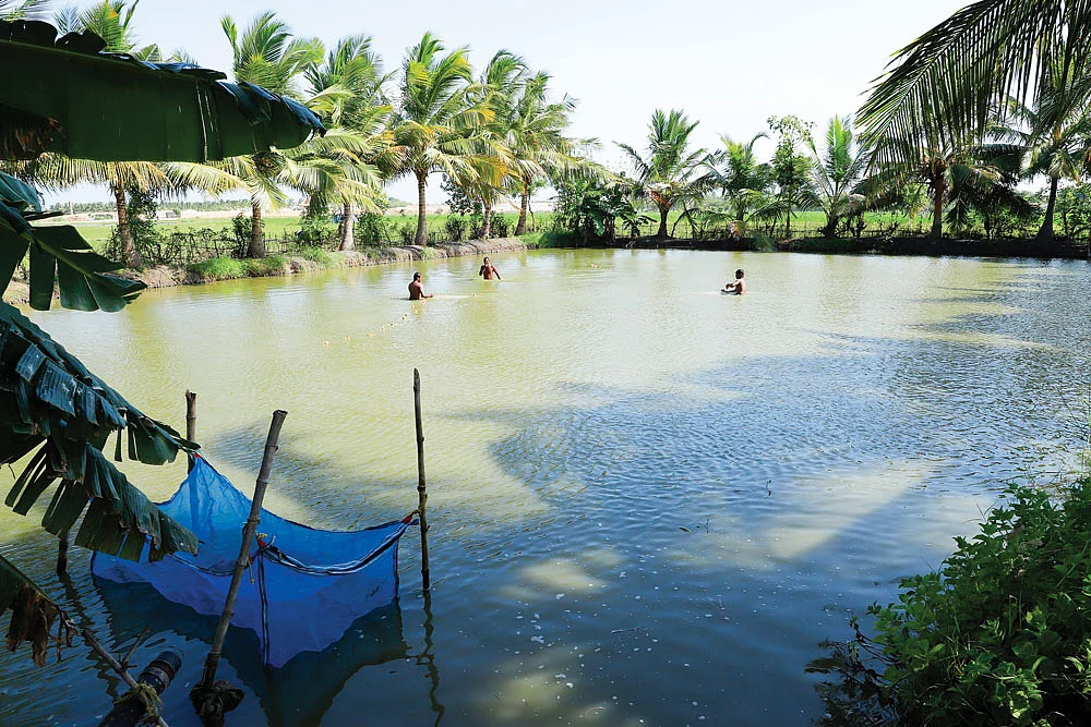 மீன் குளம்