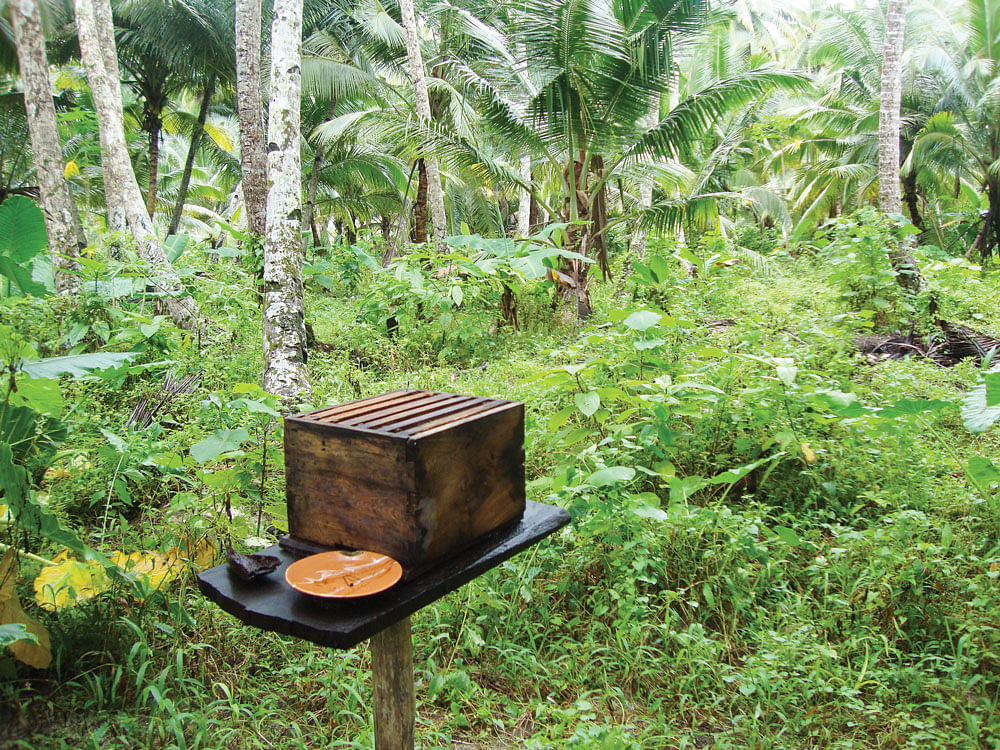 பாரம்பர்ய இயற்கை விவசாய முறைகள்