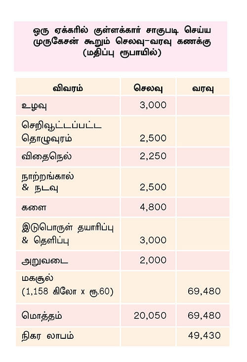 செலவு, வரவு கணக்கு