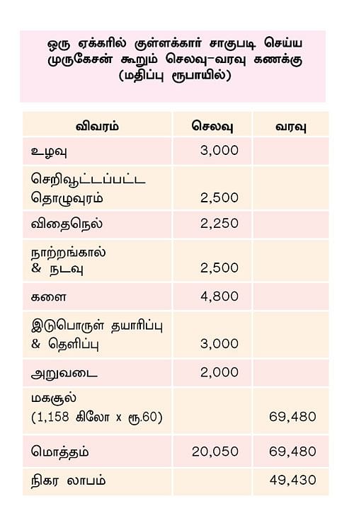 செலவு, வரவு கணக்கு