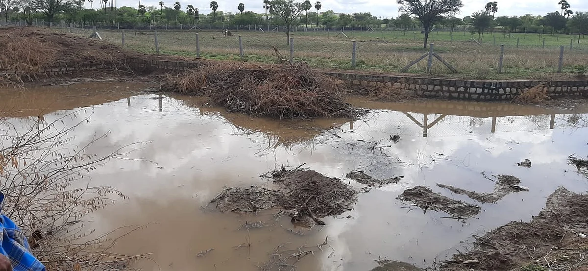 தூர்வாரப்பட்ட நீர்நிலை