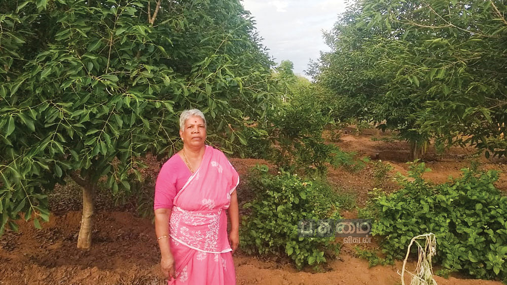 பண்ணையில் ராஜசேகரி
