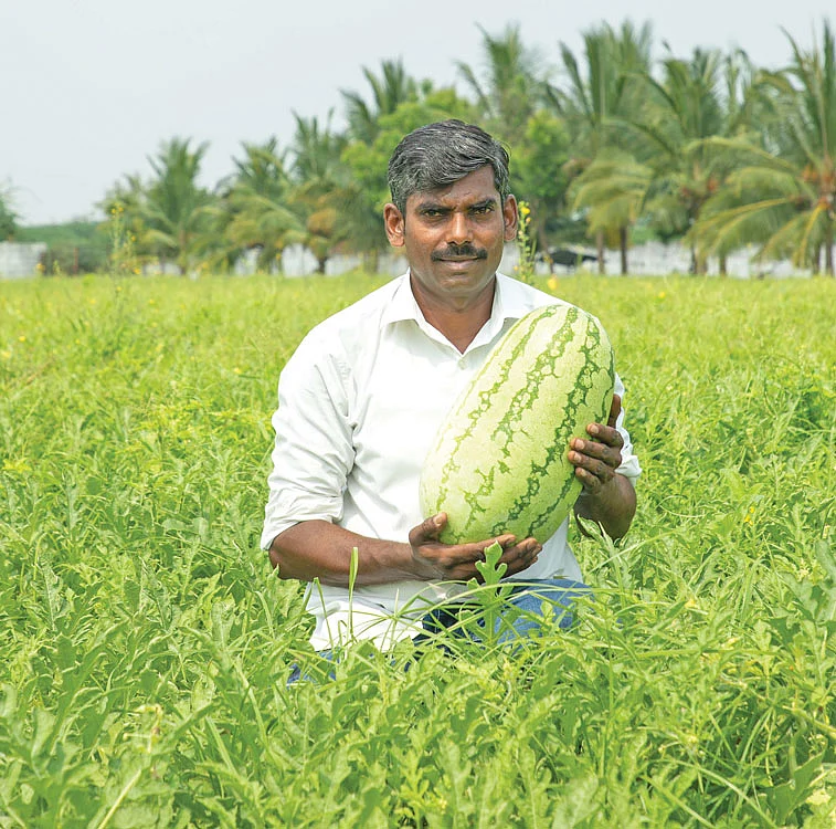 தர்பூசணியுடன் தினேஷ்