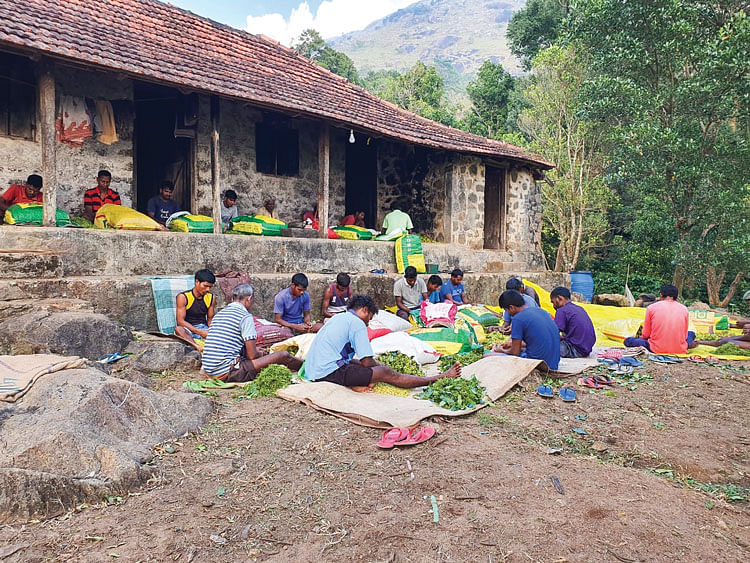 பிரித்தெடுக்கும் பணி