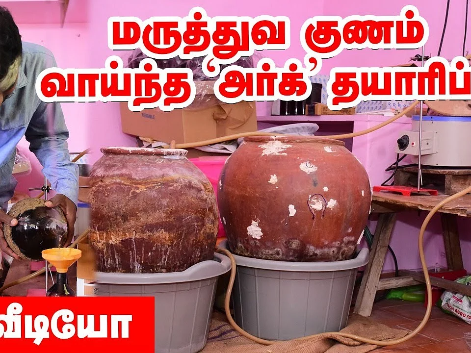 மாட்டுச் சிறுநீரில் மதிப்புக்கூட்டல் - அர்க் விற்பனையில் அசத்தல் வருமானம்!