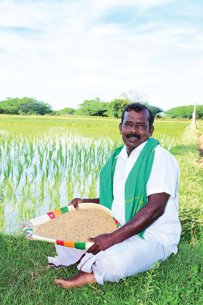 வயலின் அருகே முருகேசன்