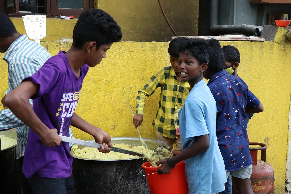 நாய்களுக்கு உணவளிக்கும் சிறுவர்கள்