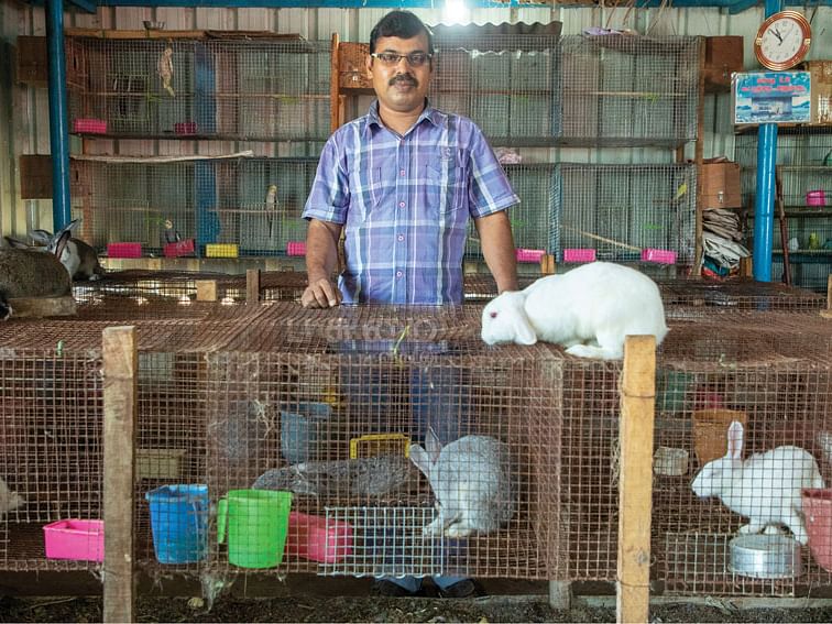 70 முயல்கள்... மாதம் ரூ.30,000 - மொட்டை மாடியில் 
முயல் வளர்ப்பு!
