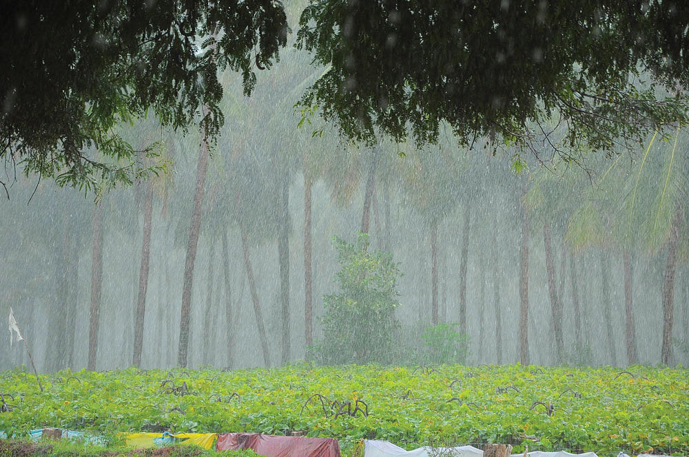 முன்னறிவிப்பு