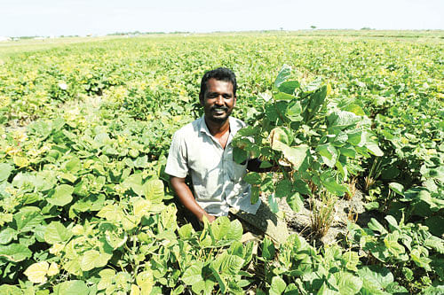 கஜேந்திரன்
