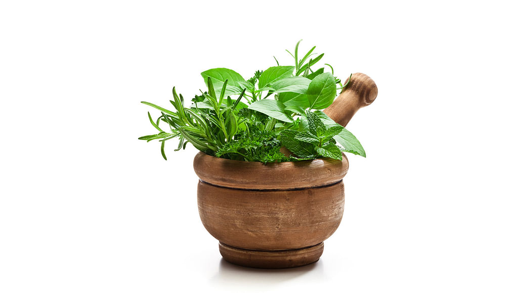 மூலிகை