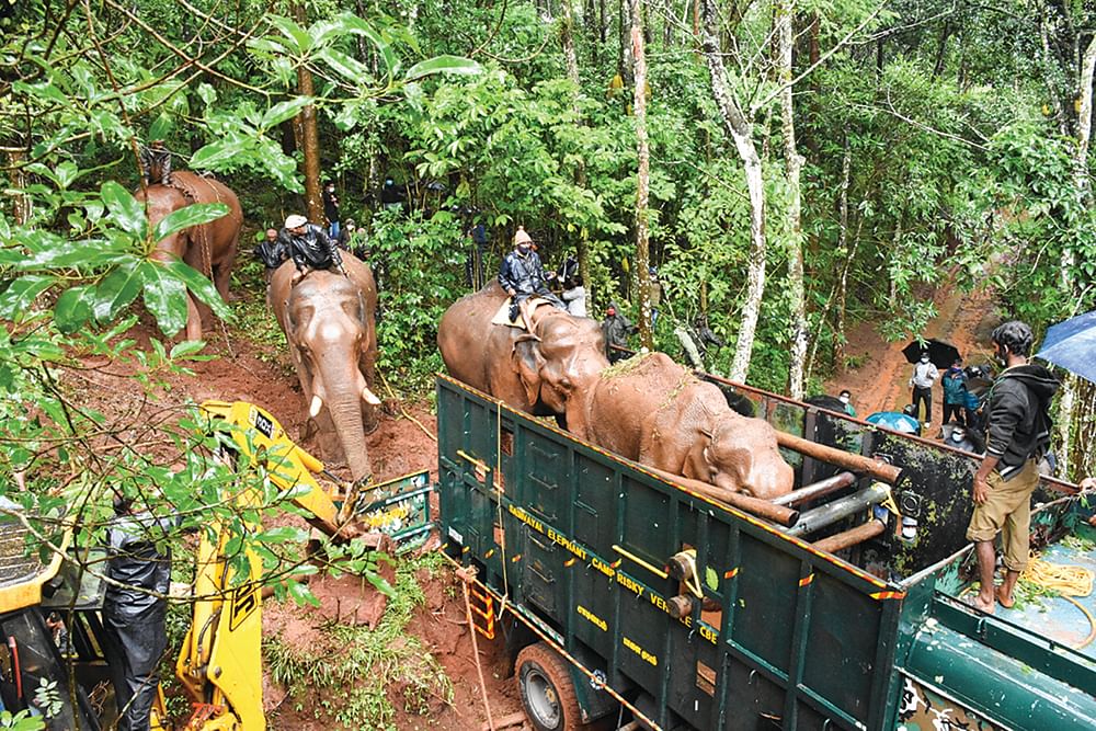 இதுவரை கண்டிராத ஒரு புதிய பயணத்திற்குத் தயாராகிறது மான்ஸ்ட்ரா