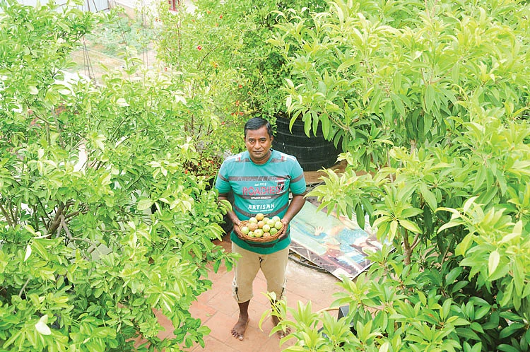 மாடித்தோட்டத்தில் சீனு