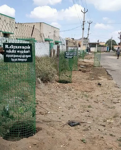 மரக்கன்றுகள் பாதுகாப்பு வலையுடன்..
