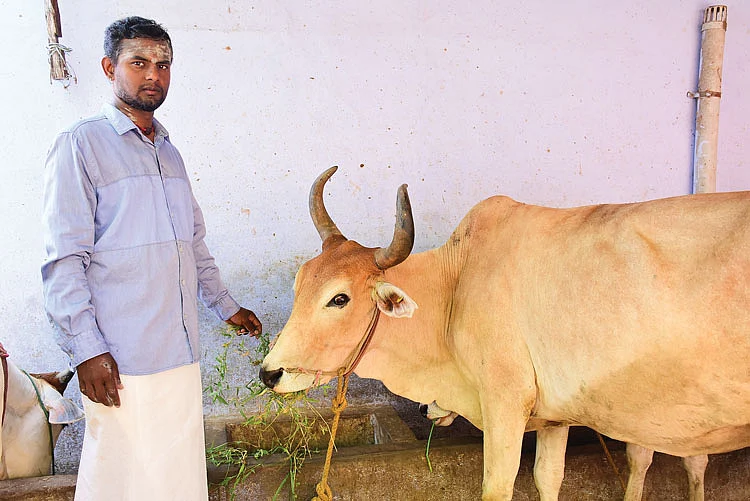 பாலசுப்பிரமணியன்
