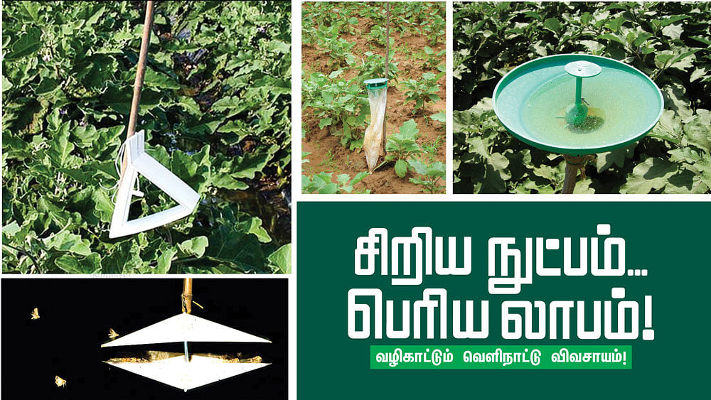 தொழில்நுட்பம்