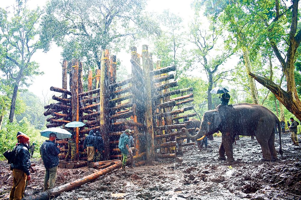 க்ராலை அடைத்துவிட்டு விடைகொடுக்கின்றன கும்கிகள், 'மீண்டுமொரு நாள் கானகத்தில் சந்திப்போம்' என்கிற வாக்குறுதியோடு.