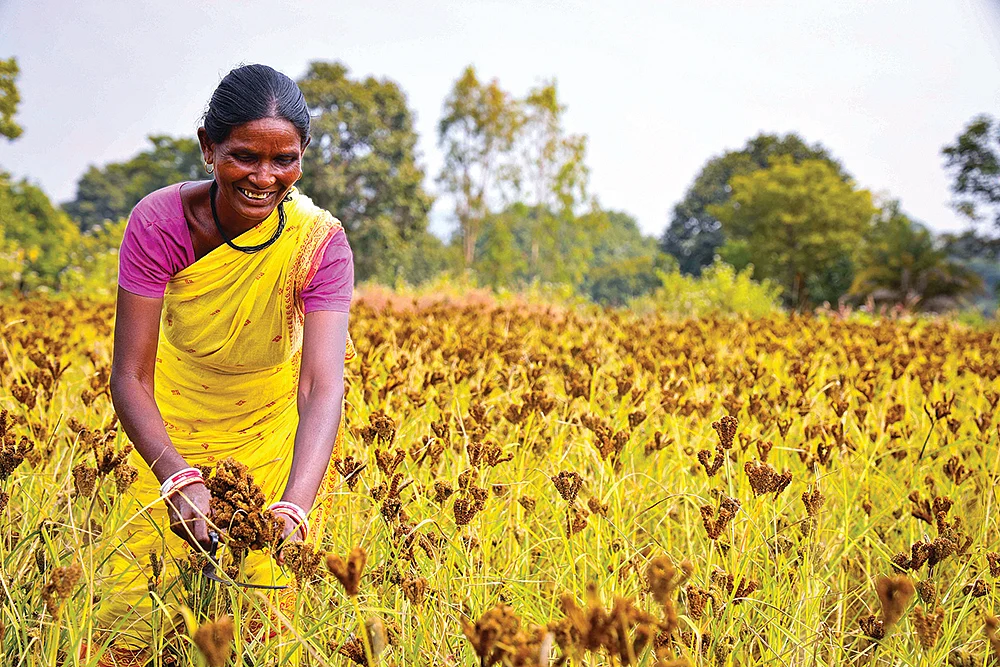 தமிழ் நெடுஞ்சாலை - 12 - வரகும் தினையும்...